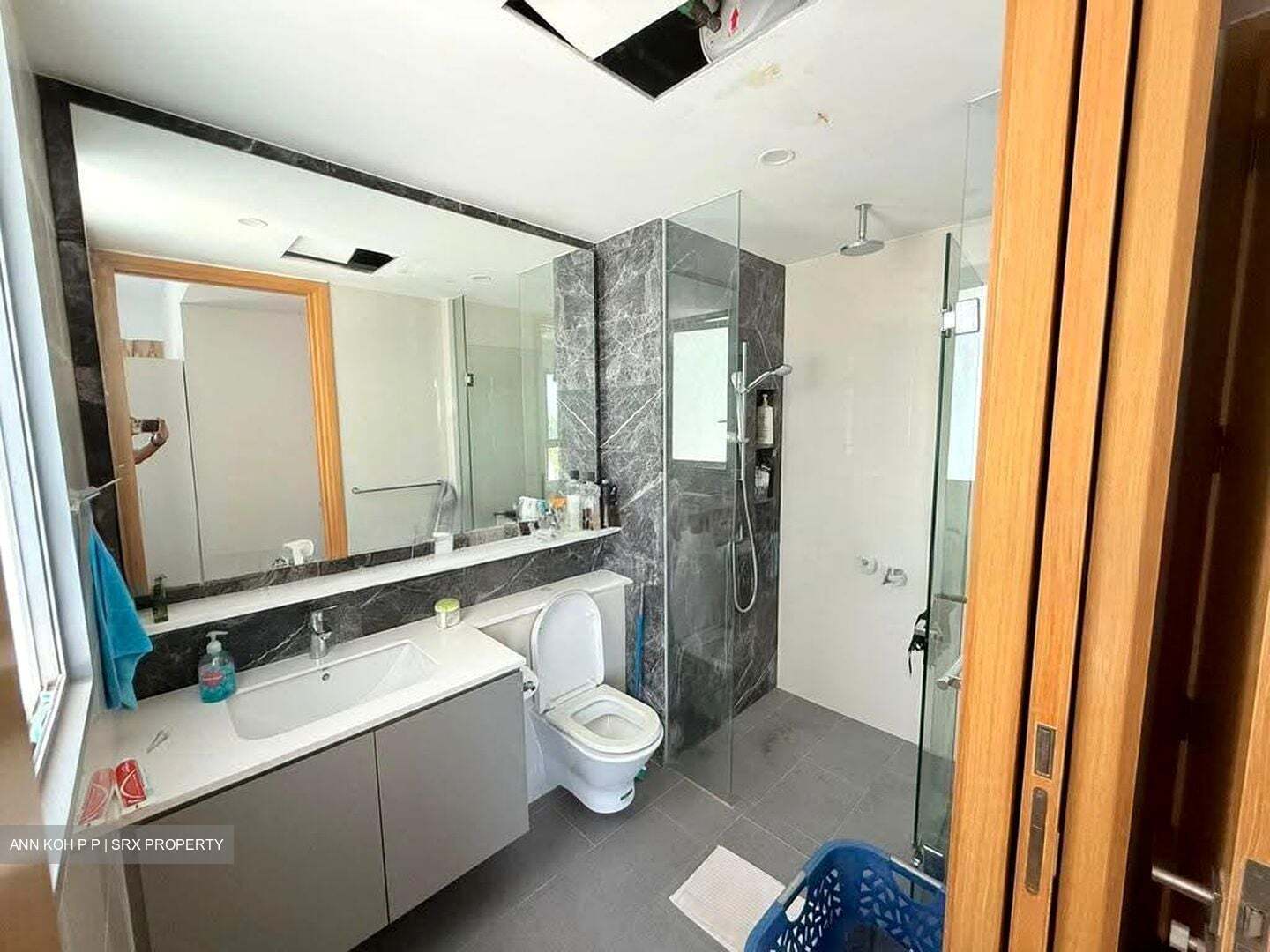 Bartley Ridge (D13), Condominium #618915021